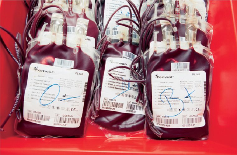 Alerte rouge à Matam : Pénurie de sang dans les structures de santé