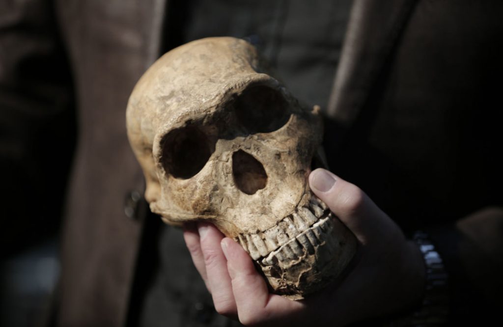 Des restes des plus anciens homo sapiens retrouvés au Maroc