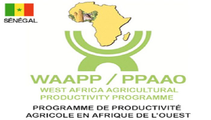 Agriculture : « Le WAAPP est un modèle de projet en termes de résultats atteints » Responsable