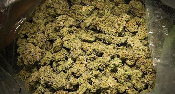 Cambéréne 2 : La Police démantèle un réseau de narcotrafiquants avec 30 Kg de chanvre indien