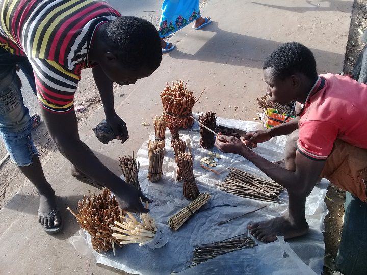 Le « sothiou »: Au delà du cure-dent, une dimension une religieuse et thérapeutique