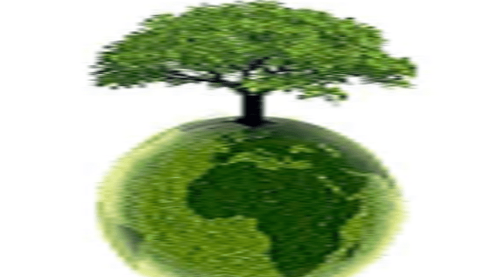 Rétro environnement : La COP23, la déforestation grandissante et l’annonce du retrait des Etats-Unis de l’accord de Paris, entre autres faits de 2017