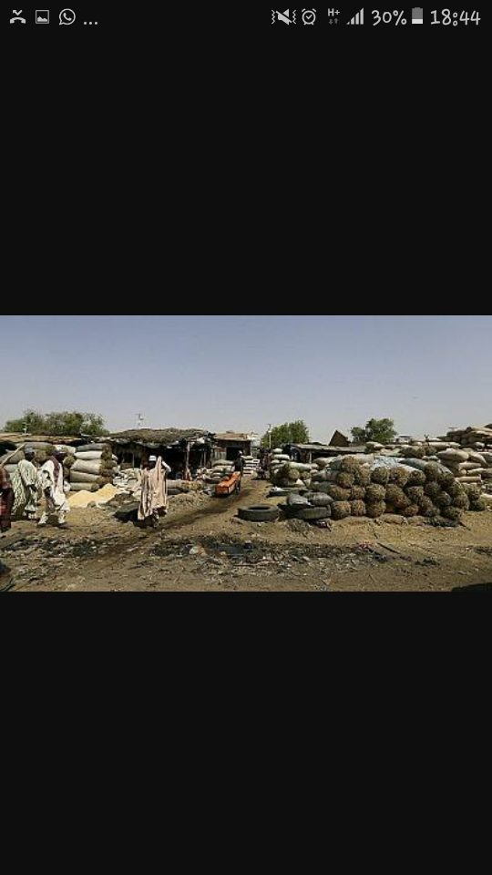 Nigeria : 25 bûcherons tués dans une attaque