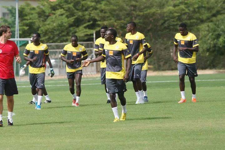 Coupe du monde 2018 : Les entraînements des Lions ouverts au grand public