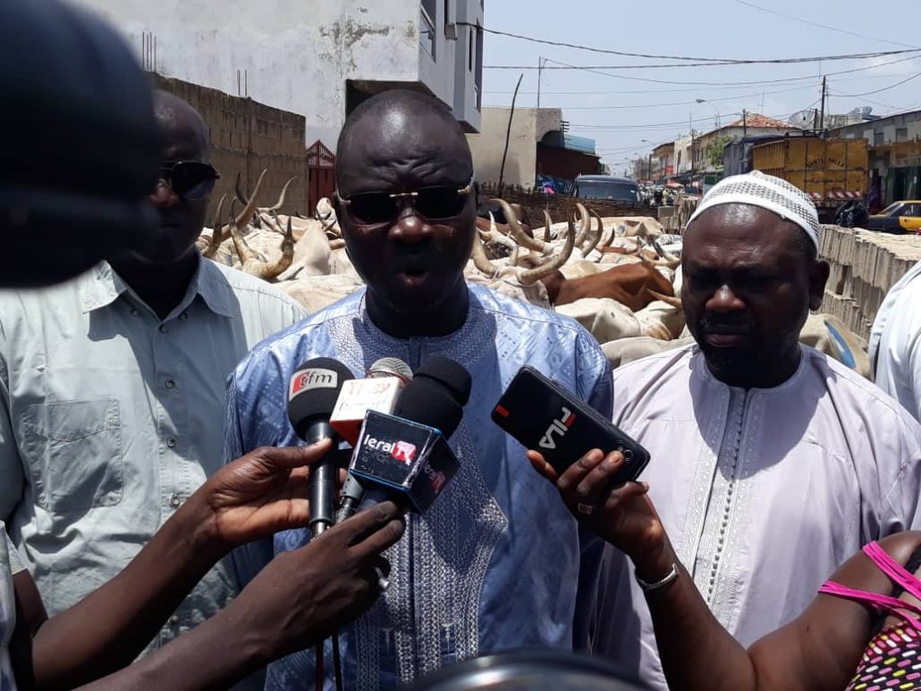 Tamxarit à Kaolack : Près d’une centaine de boeufs distribués au niveau des foyers religieux