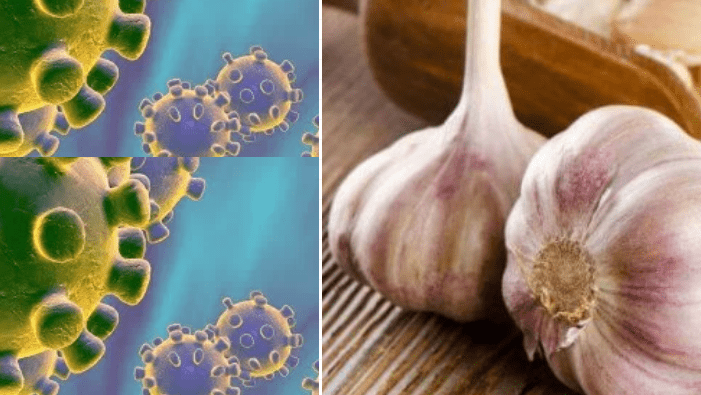 Idée reçue sur le Covid-19 : L’ail stoppe-t-il l’infection par la maladie ?