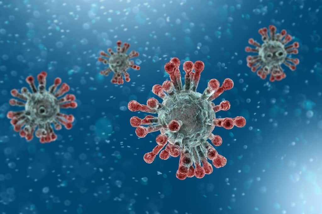 Matam : Le Coronavirus inquiète mais ne change pas les habitudes