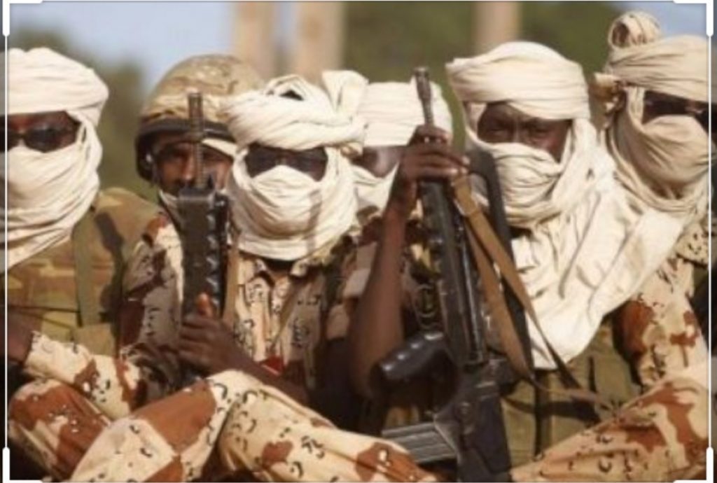 52 militaires tchadiens tués dans une opération contre Boko Haram (Armée)