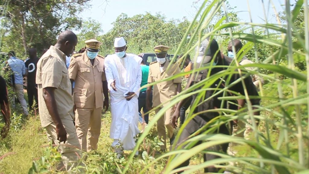 Ziguinchor : L’agropole sud va générer prés de 14 000 emplois directs et impacter prés de 365 000 ménages (ministre de l’Industrie)
