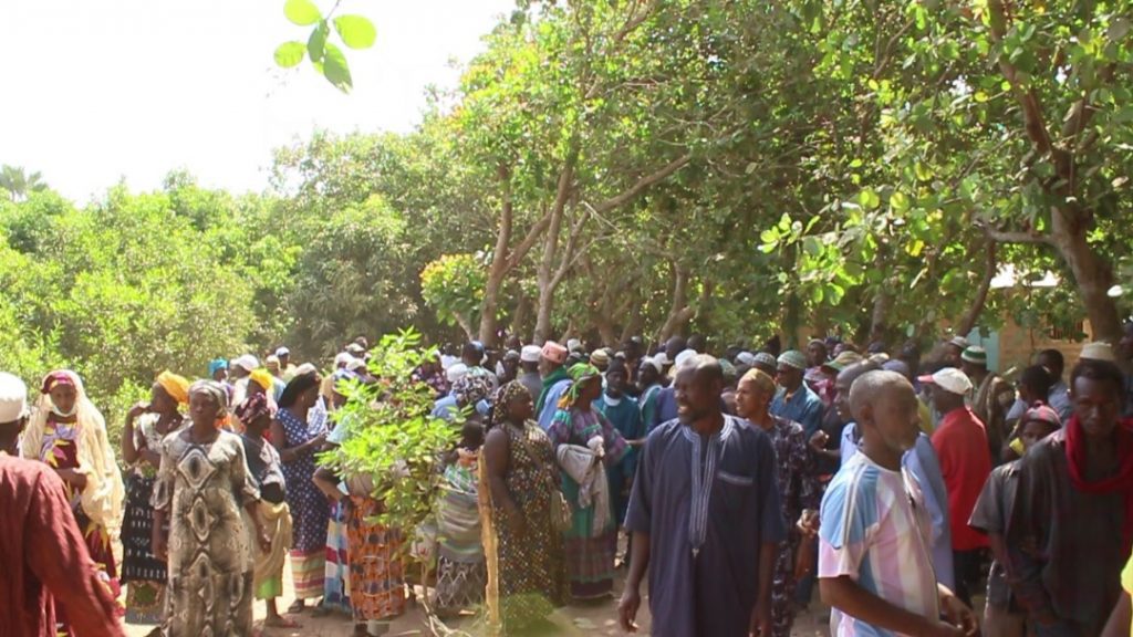 Ziguinchor / Litiges fonciers à Kantène : « Une centaine de maisons démolies », selon les planteurs