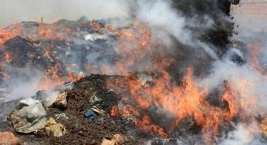 Kaffrine : 8 tonnes de drogue et de médicaments contrefaits incinérés