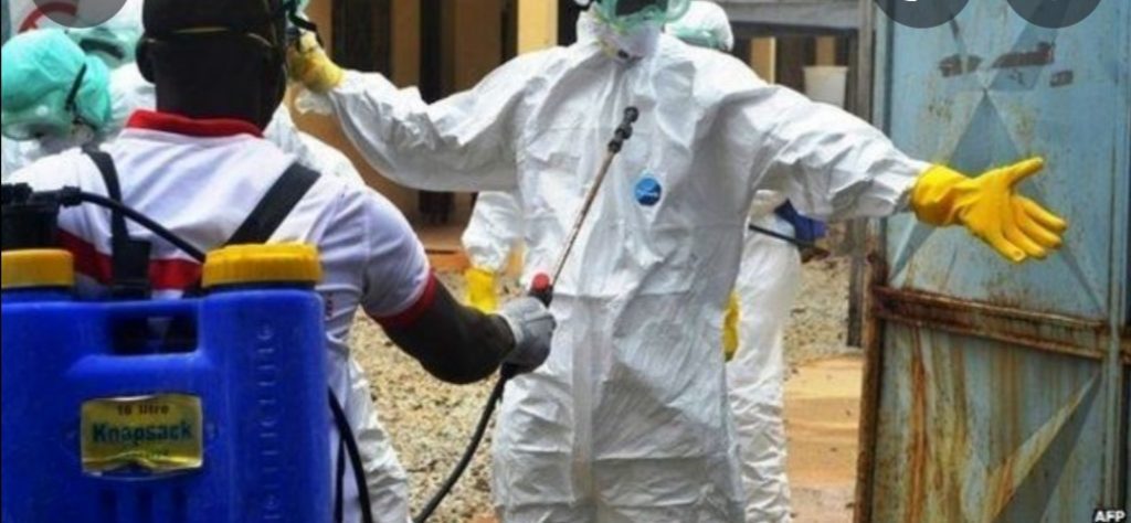 Fièvre de Marburg : Un premier cas détecté en Guinée, les pays voisins en alerte