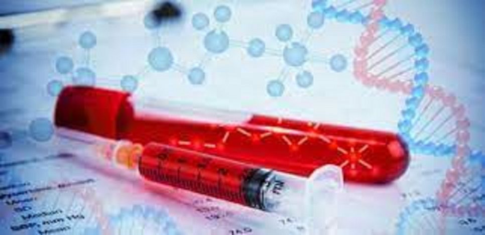 Hémophilie au Sénégal : Une association préconise la formation et milite pour la sensibilisation