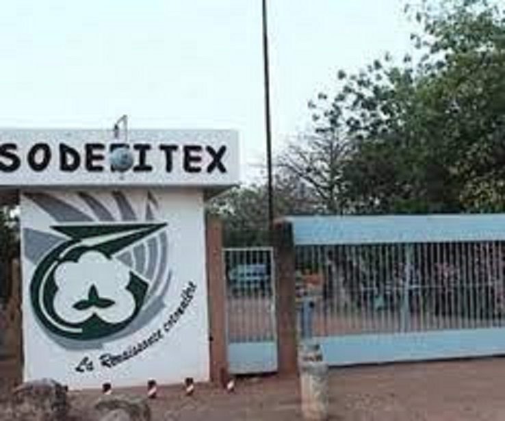 La production sénégalaise de graines de coton en baisse