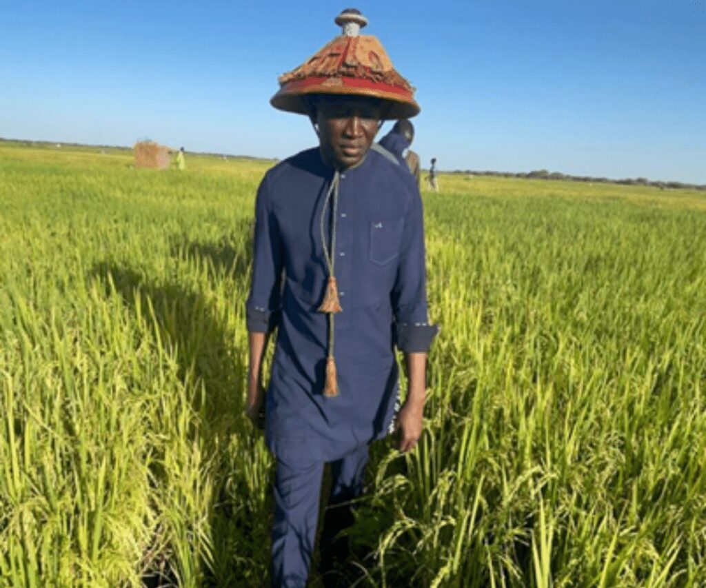 Campagne agricole : 40% des 100 milliards vont servir à l’achat d’engrais cette année (ministre)