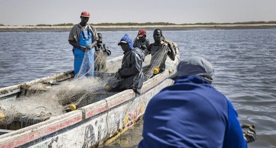 Les Pêcheurs de Mboro et Kayar font la paix
