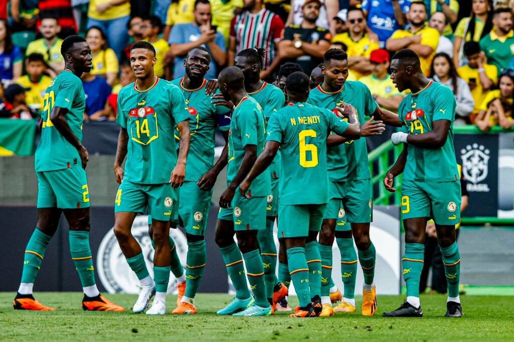 Matchs amicaux : Les Lions affronteront le Gabon et le Bénin en mars en France
